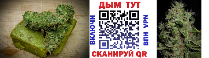 Canna-Cookies конопля Обь