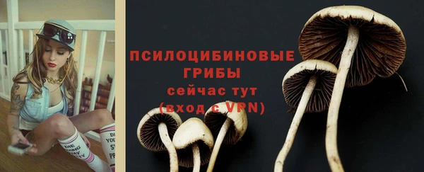 ECSTASY Балабаново